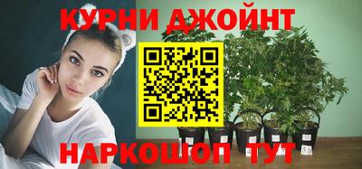 гидропоника Тара