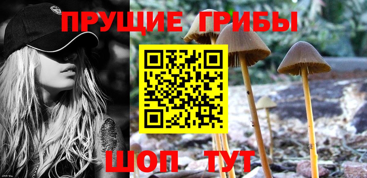 Галлюциногенные грибы Cubensis Жуковский